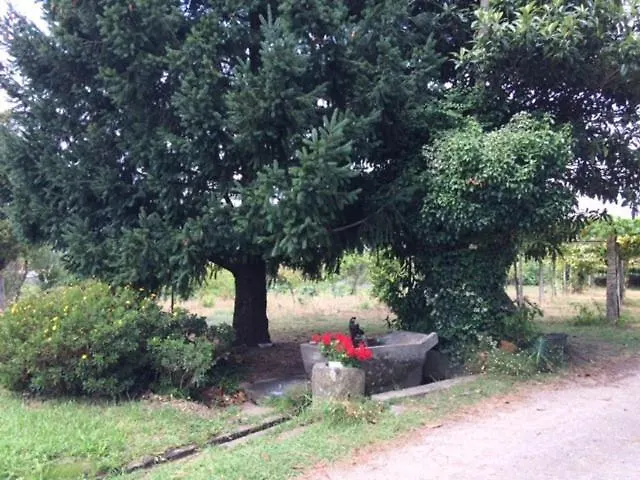 Casa Pardal * A Coruna